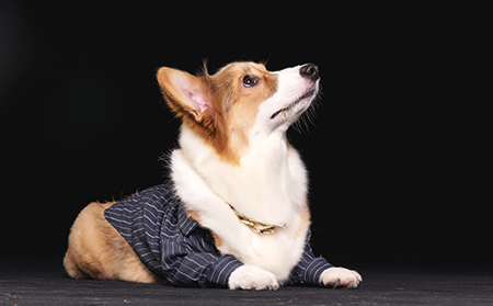 银屑病应该怎么进行预防