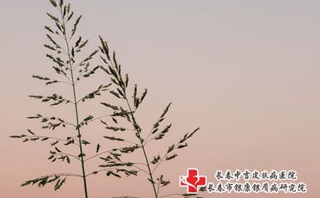 长春银康银屑病研究院提醒免疫力低会增加银屑病患病率